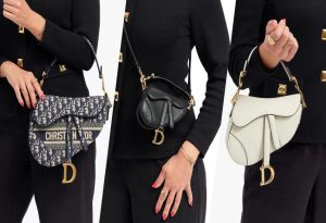 The Dior Saddle Bag